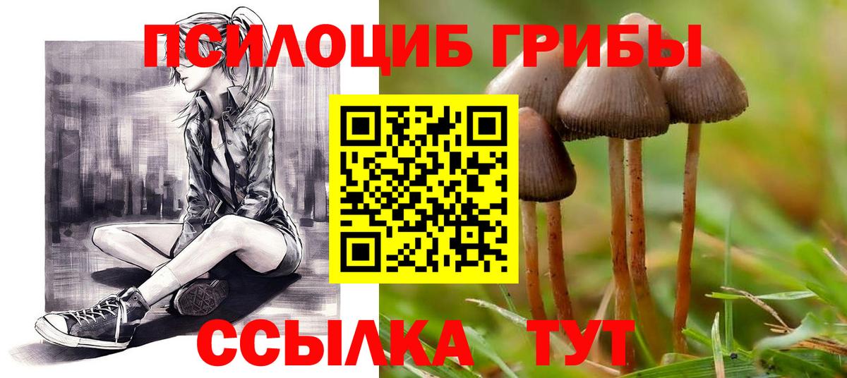 Галлюциногенные грибы Psilocybe  Вход с VPN  Новоуральск  Галлюциногенные грибы GOLDEN TEACHER 
